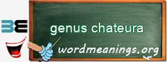 WordMeaning blackboard for genus chateura